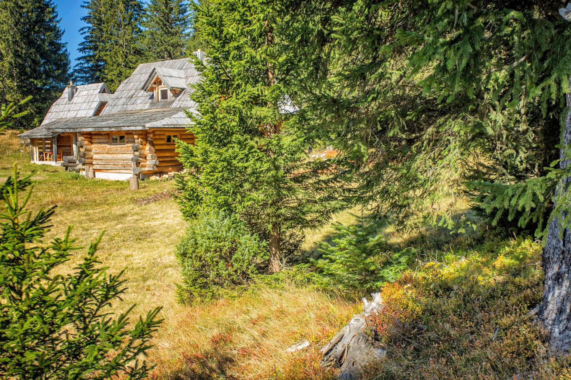 Lodge Nadgora Žabljak Eksteriør billede